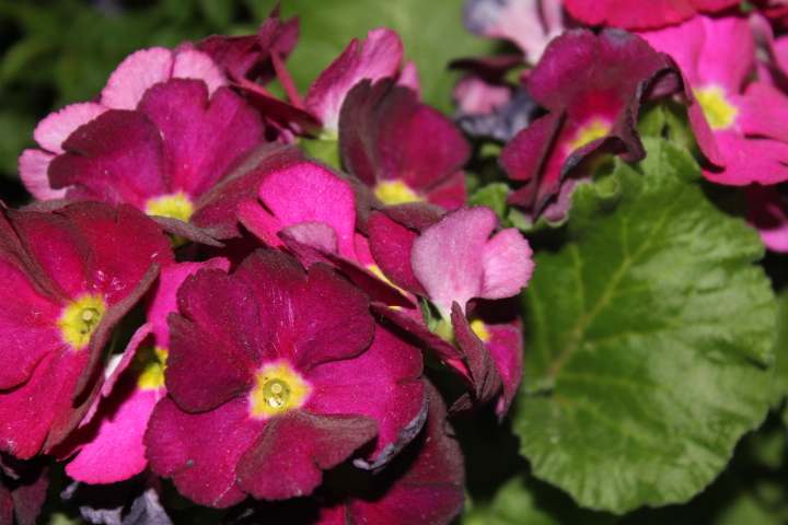 По Германии: весна в Лейпциге