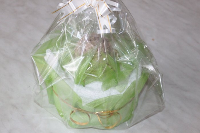 Еще несколько подарков — Другие хобби и увлечения: сад