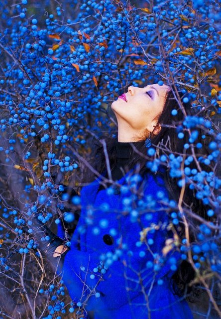 Очень синий топик или Королевский сапфир. Коллекционная фарфоровая кукла Наоми (Naomi) от Кристин Оранж