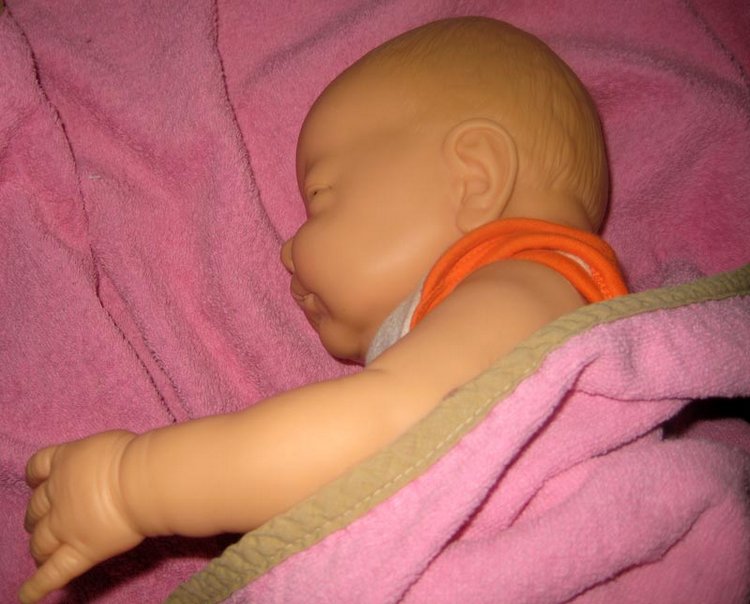 Малышка Berjusa, Berenguer