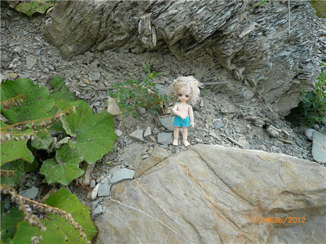 Сосенка Пин. Отпуск — Разные куклы BJD (БЖД): редкие бренды