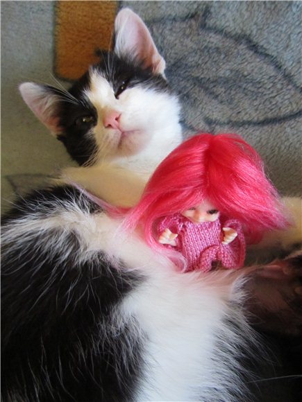 Одним субботним утром... Кукла BJD, Baby Iplehouse Doll Элин | Бэйбики Одним субботним утром... Кукла BJD, Baby Iplehouse Doll Элин (фото 5)