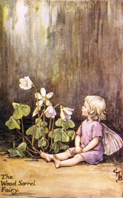 Долгая жизнь цветочных фей от иллюстраций Cicely Mary Barker до кукол Birgitte Frigast