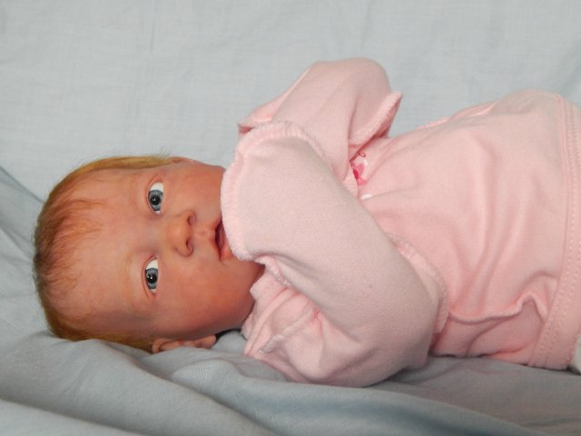 Реборн Рыжик. Моя переделочка из куклы беренжер