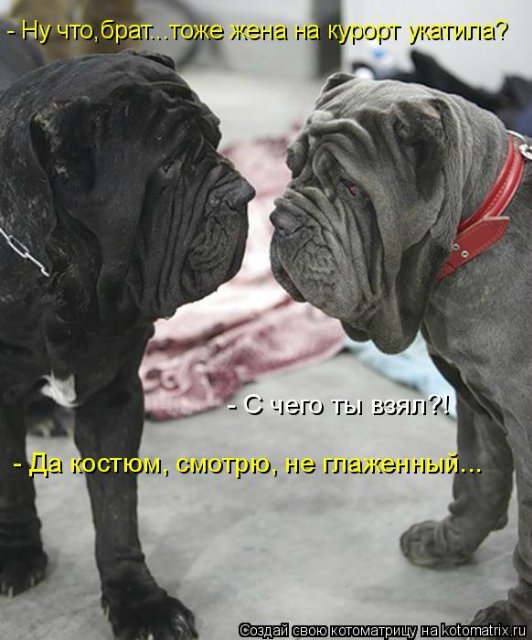 Понедельник - день тяжёлый | Бэйбики Понедельник - день тяжёлый