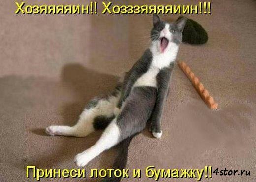 Море позитива) Для поднятия настроения (осторожно! много фото)))) | Бэйбики Море позитива) Для поднятия настроения (осторожно! много фото))))