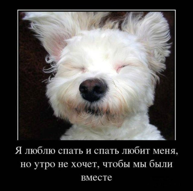 Понедельник - день тяжёлый | Бэйбики Понедельник - день тяжёлый