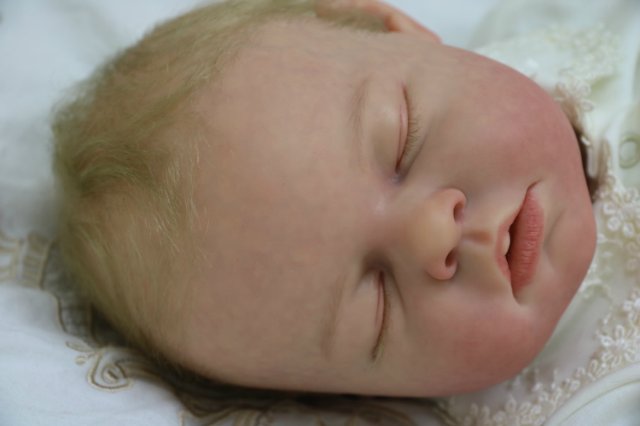 Ноашечка. Куколка реборн Виктории Вишни