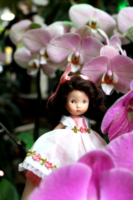 Цветочные феи - Ненси Энн, Диана Эффнер