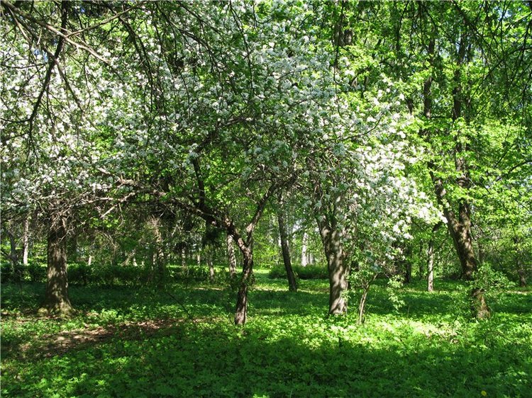 Субботний вояж. Заключительная часть (фото 3)