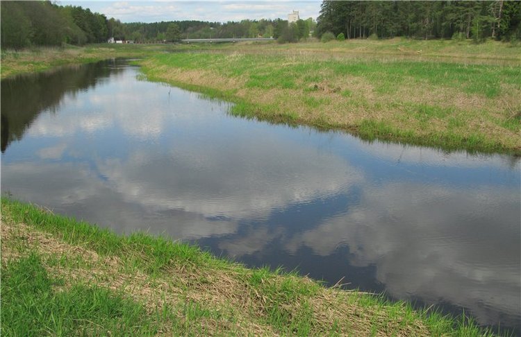 Сказочное Василёво. Реплика антикварной куклы Bébé BRU JNE от автора Branka Schärli
