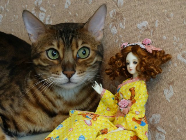 Метелька и её новый друг | Бэйбики Метелька и её новый друг — Куклы Souldoll (Соулдолл): BJD (БЖД)