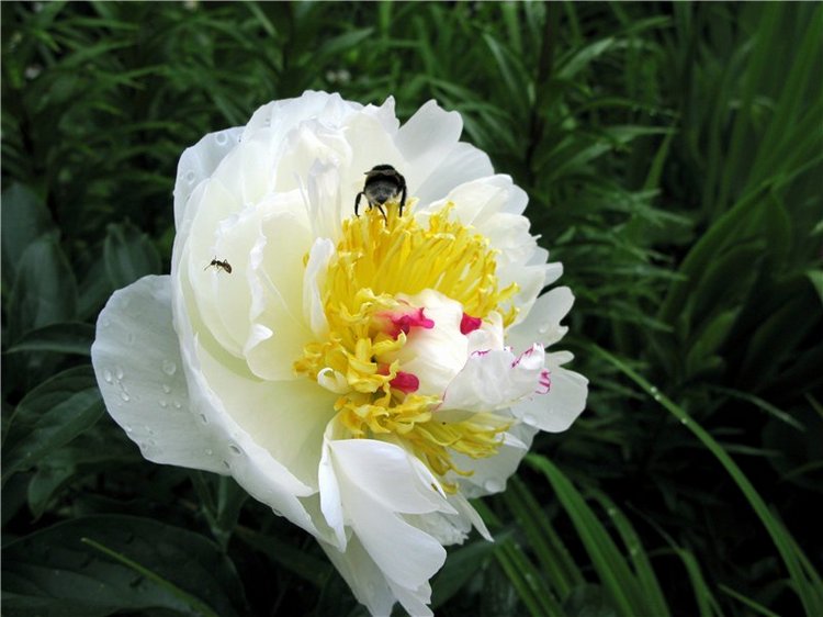 Кашин - город русского сердца. Часть седьмая. Вознесенский кафедральный собор