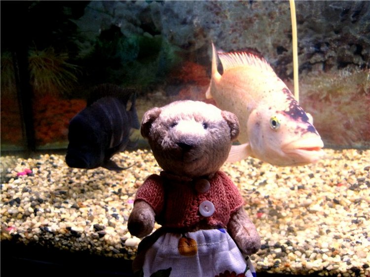 Лето. Солнце. Море. Всё смешалось - звери, куклы. Часть2 | Бэйбики Лето. Солнце. Море. Всё смешалось - звери, куклы. Часть2