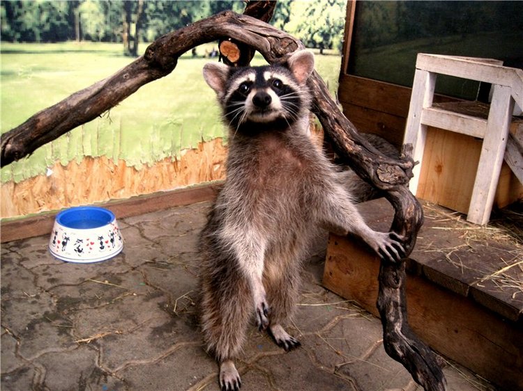 Лето. Солнце. Море. Всё смешалось - звери, куклы. Часть2 | Бэйбики Лето. Солнце. Море. Всё смешалось - звери, куклы. Часть2 (фото 2)