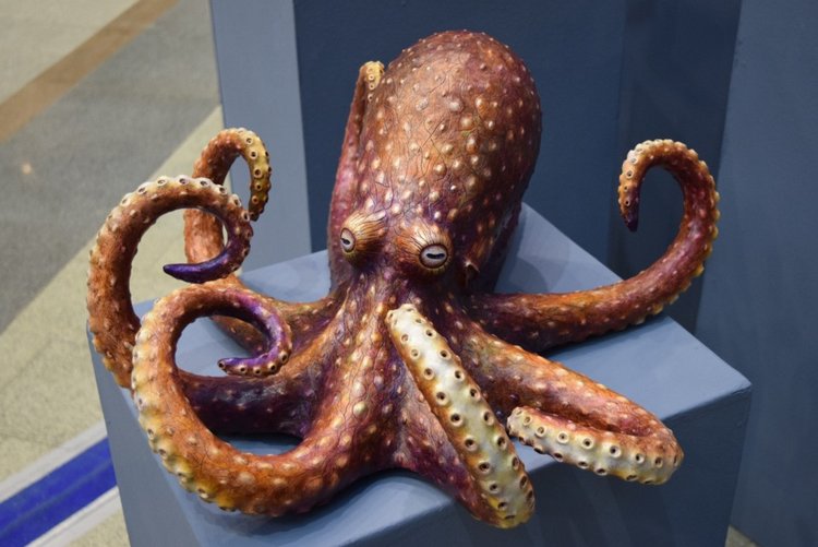 VII Московская международная выставка "Искусство Куклы". Портреты кукольной души или незримый диалог