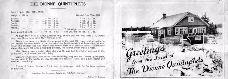 История трагической жизни, ставшая фурором кукольного мира . Часть 3 Заключение