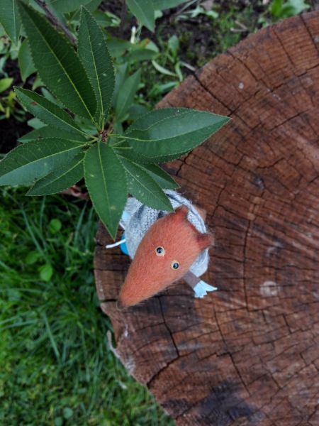 Краски осени. Прогулка с авторским лисёнком (фото 2)