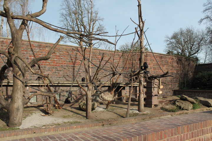 По Германии: зоопарк Лейпцига, часть 1