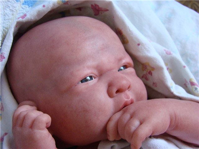 Филипок. Мой переделанный малыш беренжер (фото 3)