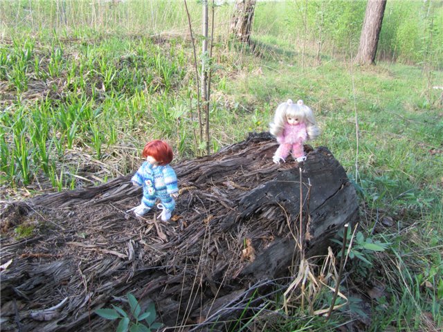 Весенний день... или как девочки ходили на пикник.№2