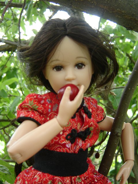 Компромисс: моя первая БЖД: Люси - Senson doll, в гостях на даче