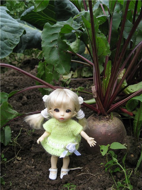 Маленькая дачница! Пукифи Анте Элис | Бэйбики Маленькая дачница! Пукифи Анте Элис