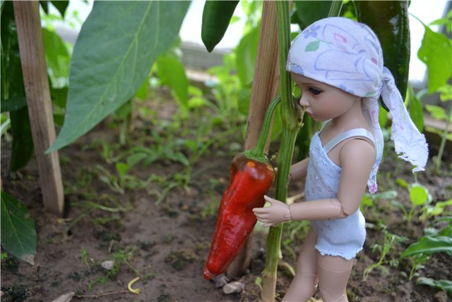 Один день из жизни Евочки на даче. Элин от Iplehouse (фото 3)