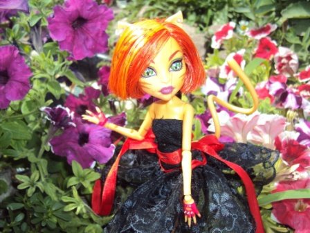 Monster High: Как две красавицы гулять в сад ходили (фото 9)