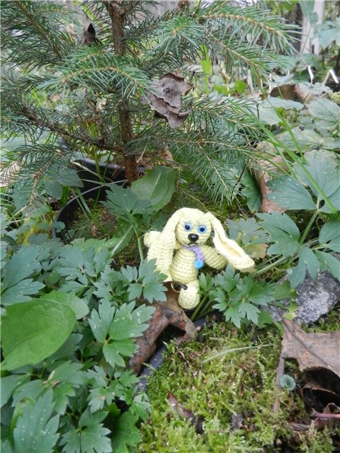 Мои крохотульки на природе. Клубные куколки от Аннет Химштед