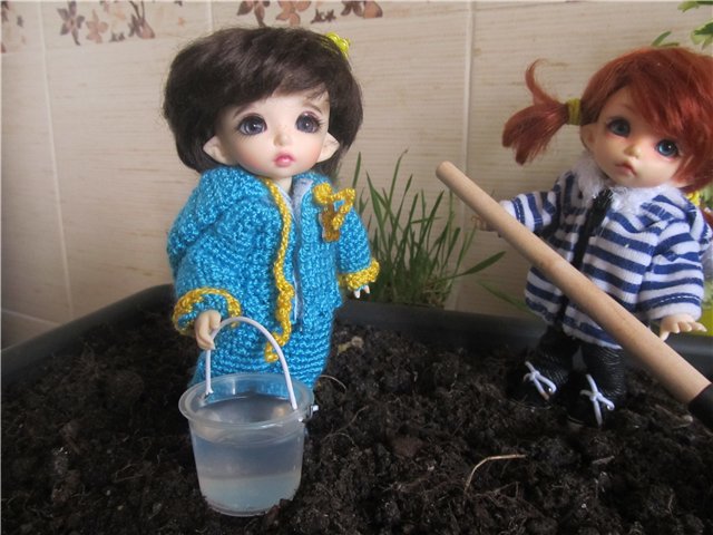 "Мастер-класс" по посадке огорода