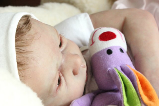 Принцесса Диана, куклы реборн Беспаловои Жанны