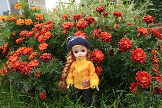 По грибы. Бузулукский бор