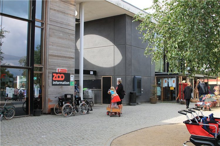 Командировка в Данию фейсинки (Galoob Baby Face doll)