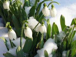 Весна.... как много в этом слове