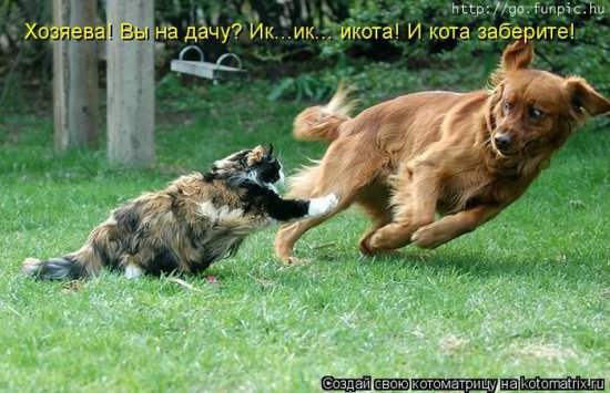 Море позитива) Для поднятия настроения (осторожно! много фото)))) | Бэйбики Море позитива) Для поднятия настроения (осторожно! много фото))))