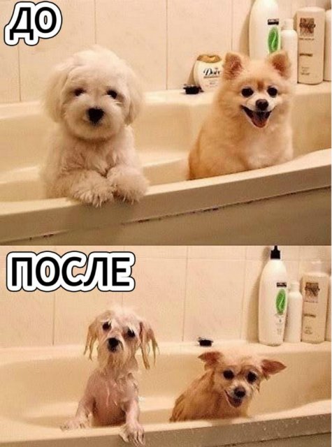 Понедельник - день тяжёлый | Бэйбики Понедельник - день тяжёлый