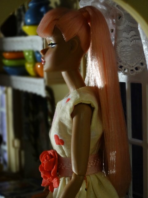 Дом в котором живут красотки