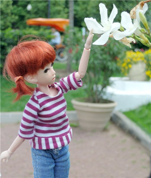 Женькина поездка — Куклы и тела Obitsu (Обитсу): 1/6