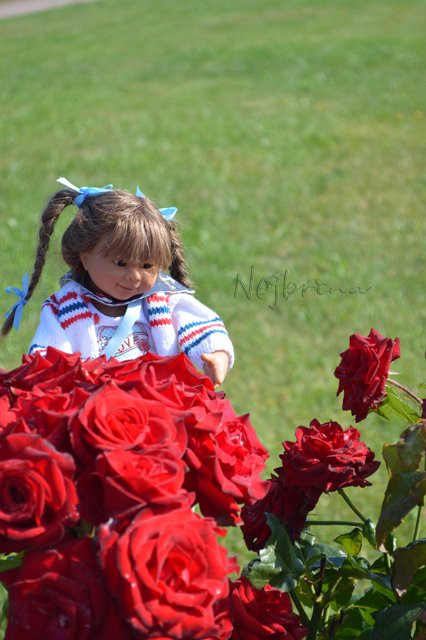 Питер - самый лучший город на земле! Вихтель Rosemarie Anna Muller