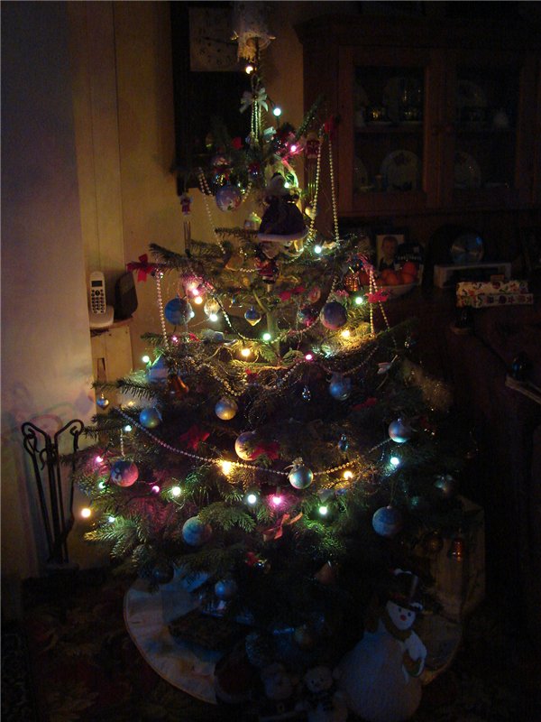 Елочка, ёлка - лесной аромат