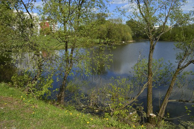 Яркие краски. Вихтели Rosemarie Anna Muller