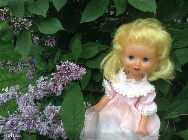 Малышки Шарнирочки из СССР, Кирово - Чепецкая фабрика (фото 7)