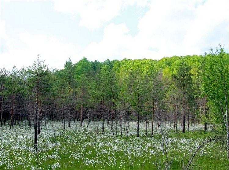 Кашин - город русского сердца. Часть первая. Кашинский краеведческий музей (фото 7)