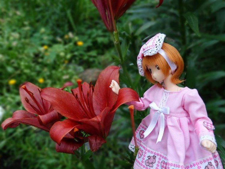 Дюймовочка в сказочном саду (фото 5)