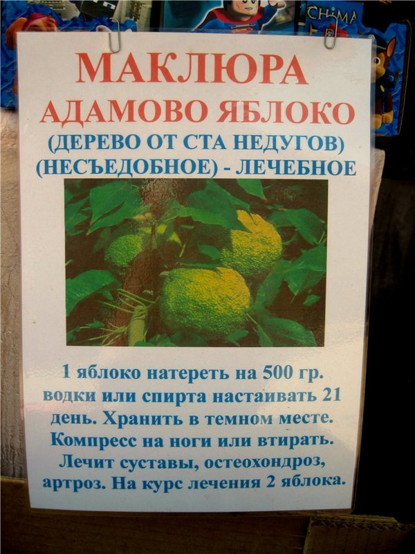 Лето. Солнце. Море. Где побывали! Что повидали! Часть 3