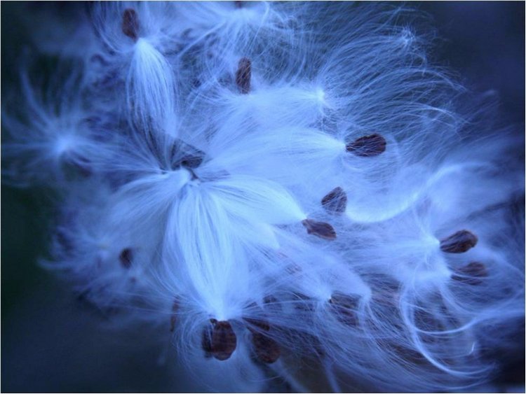 Лучшие фото National Geographic