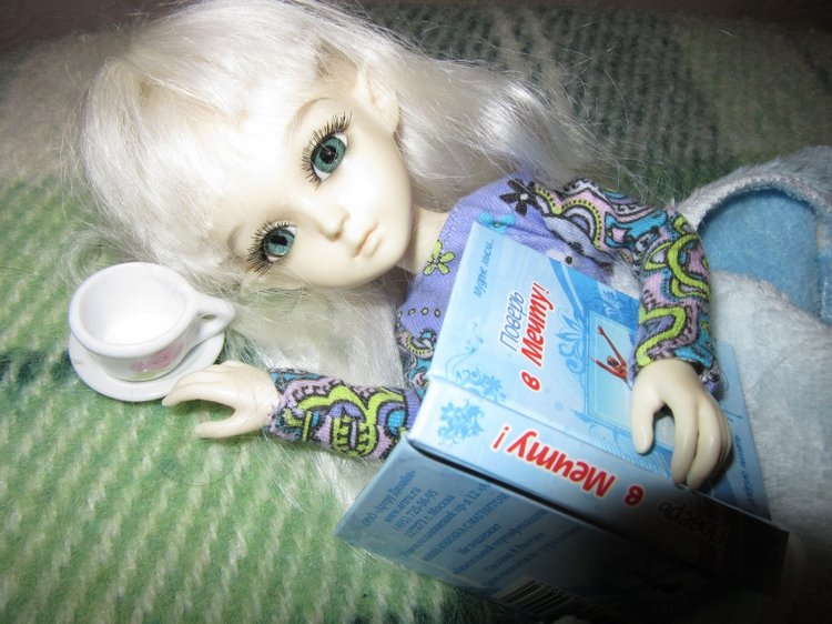 Зимушка моя — Куклы Resinsoul (Резинсоул) и Bobobie: BJD (БЖД)