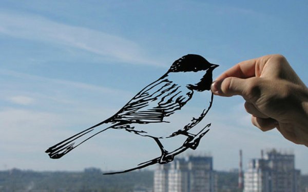 Резьба по бумаге:) — Интересное и необычное: фотоподборки