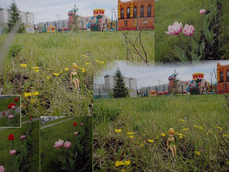 Майские... Городские зарисовки (фото 4)